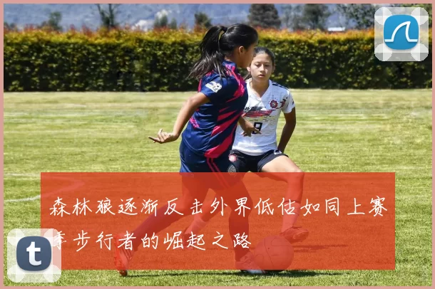 森林狼逐渐反击外界低估如同上赛季步行者的崛起之路